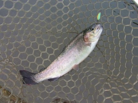 平谷湖フィッシングスポット 釣果