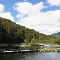 平谷湖フィッシングスポット 釣果