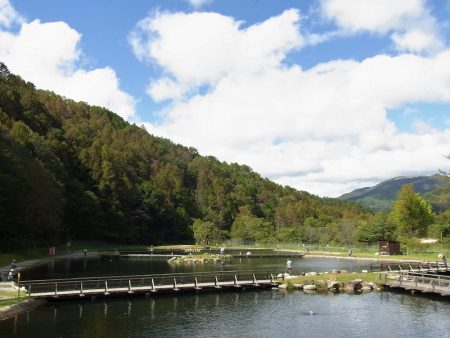 平谷湖フィッシングスポット 釣果