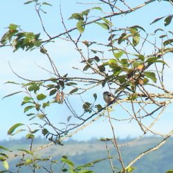 平谷湖フィッシングスポット 釣果