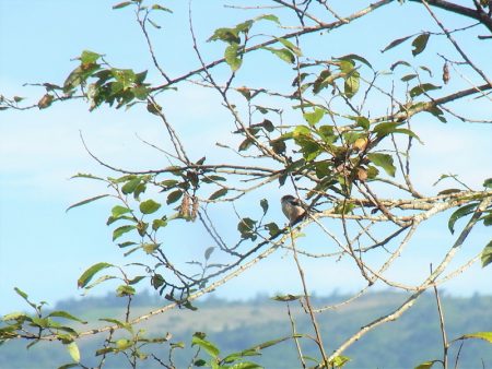 平谷湖フィッシングスポット 釣果