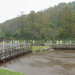 平谷湖フィッシングスポット 釣果