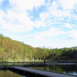 平谷湖フィッシングスポット 釣果