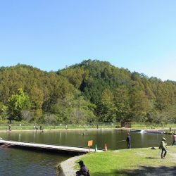 平谷湖フィッシングスポット 釣果