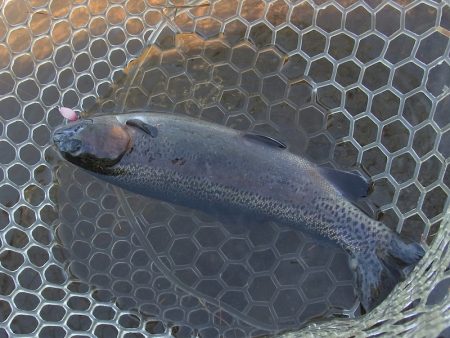 平谷湖フィッシングスポット 釣果