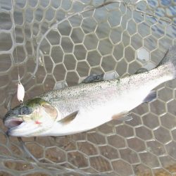 平谷湖フィッシングスポット 釣果