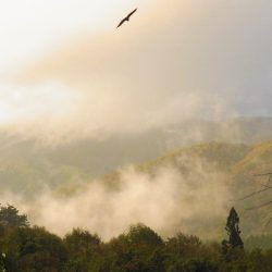 平谷湖フィッシングスポット 釣果