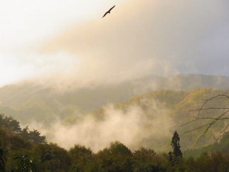 平谷湖フィッシングスポット 釣果