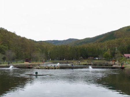 平谷湖フィッシングスポット 釣果