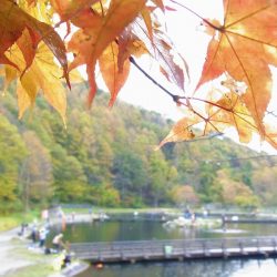 平谷湖フィッシングスポット 釣果