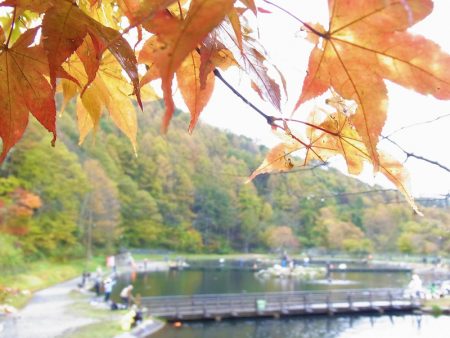 平谷湖フィッシングスポット 釣果