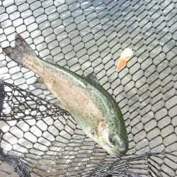 平谷湖フィッシングスポット 釣果