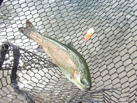 平谷湖フィッシングスポット 釣果