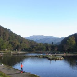 平谷湖フィッシングスポット 釣果