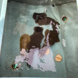 鳴門でティップラン