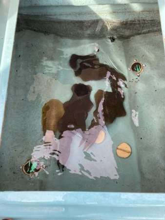 鳴門でティップラン