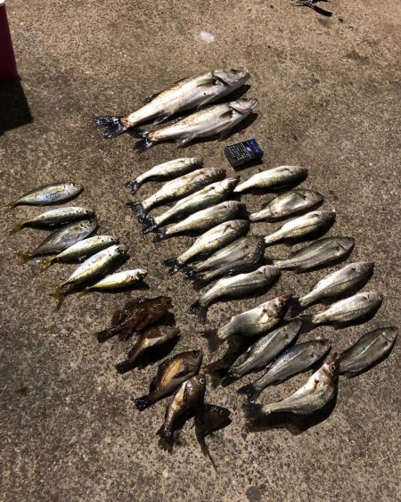 苅田港北九州空港