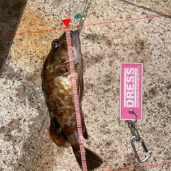 爆裂マイクロテンヤ