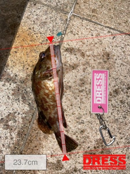 爆裂マイクロテンヤ