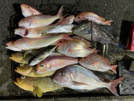 シケの合間にアマダイ狙い