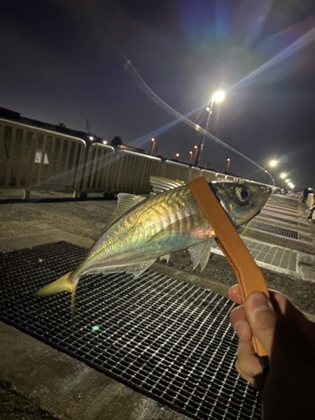 尺まであと少し