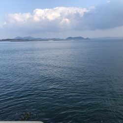 久しぶりの３安打猛打賞。