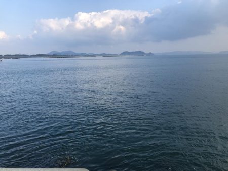 久しぶりの３安打猛打賞。