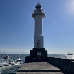 またまたライトワインド!