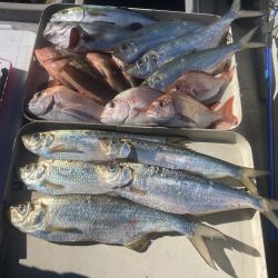 久しぶりの牛窓沖