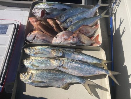 久しぶりの牛窓沖