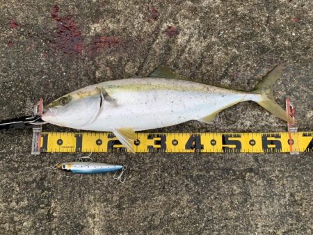 トップで来た〜