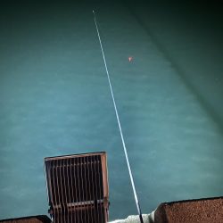 我慢の釣りでした