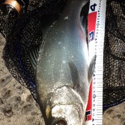 夕マズメの一瞬