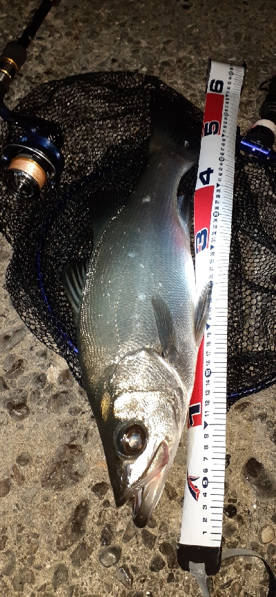 夕マズメの一瞬