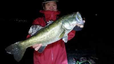 やっとやっとの