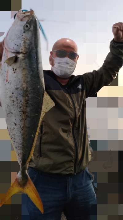 湾奥の夕マズメに青物連発！！