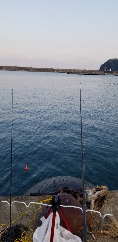 朝マズメのアジ