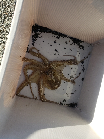 いろいろ出会えたひ