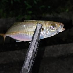 フロートアジング