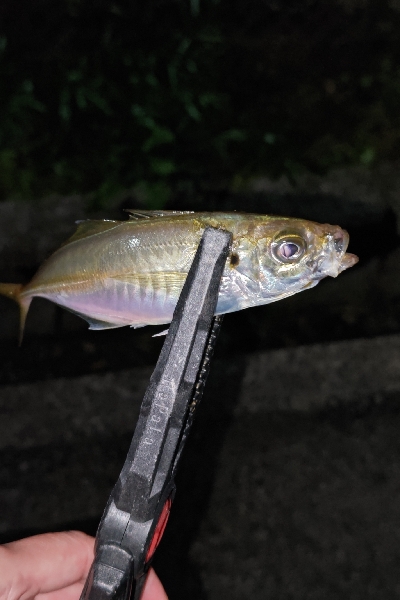 フロートアジング