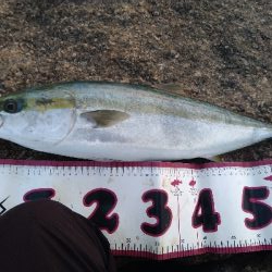 やっぱりトップは楽しい!