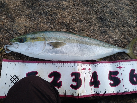 やっぱりトップは楽しい!