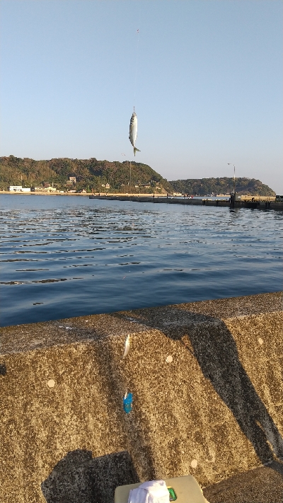 久しぶりのファミリーフィッシング