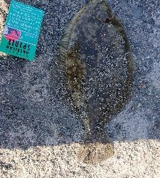 ぼちぼち・・・