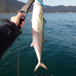 ２馬力ボート釣行