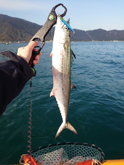 ２馬力ボート釣行 | 福井 タイラバ（鯛ラバ）・テンヤ エソ | ジギング船・釣り船 | 釣果情報サイト カンパリ