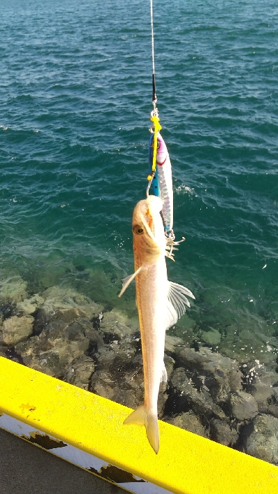 久しぶりの遠征釣行