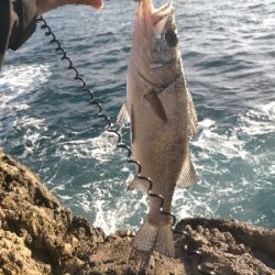 やっと釣れた。