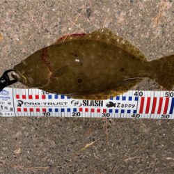 ライトショアジギング