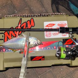 ロングロッドでジグ単